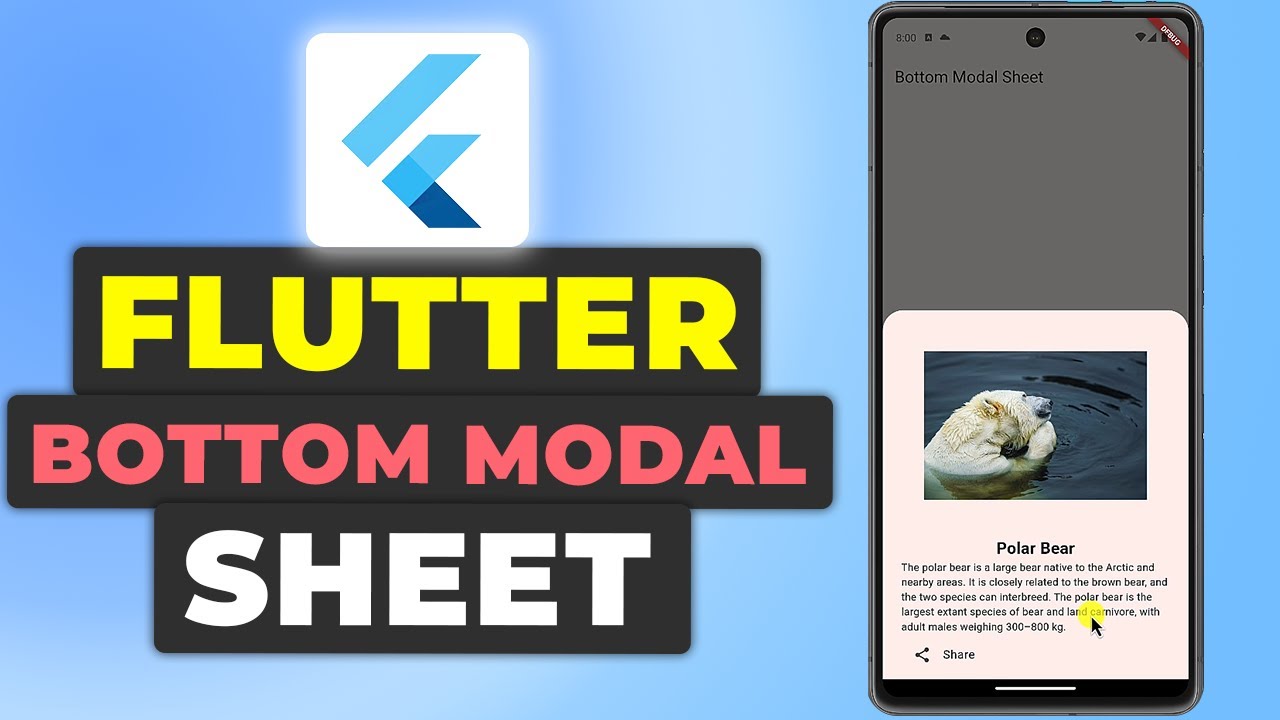 Flutter Bottom Modal Sheet Tutorial | Bottom Sheet Flutter Guide